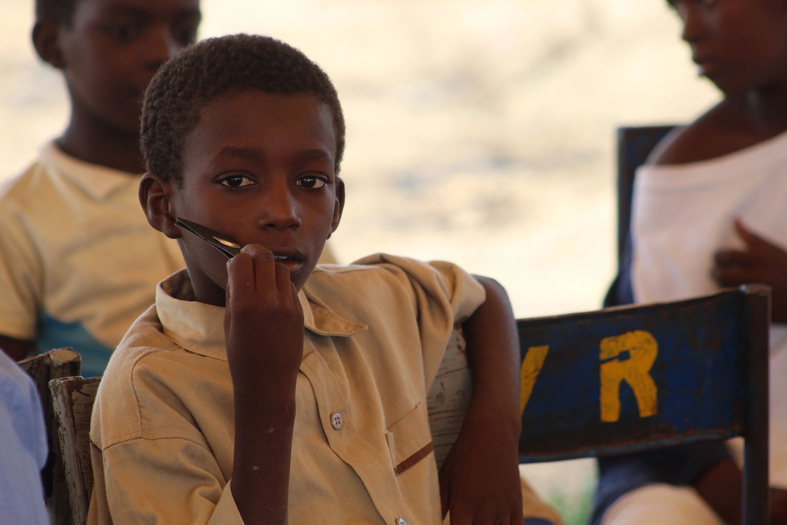 Landscape restoration