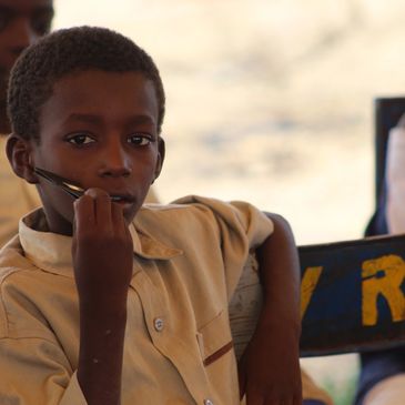 Thiès Forest Restoration