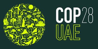 5 hectares of an old quarry restored in Thiès, Senegal