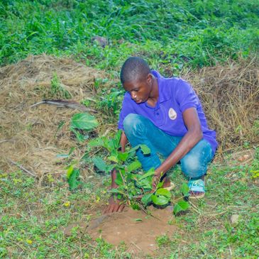 Community members walking through a young forest corridor